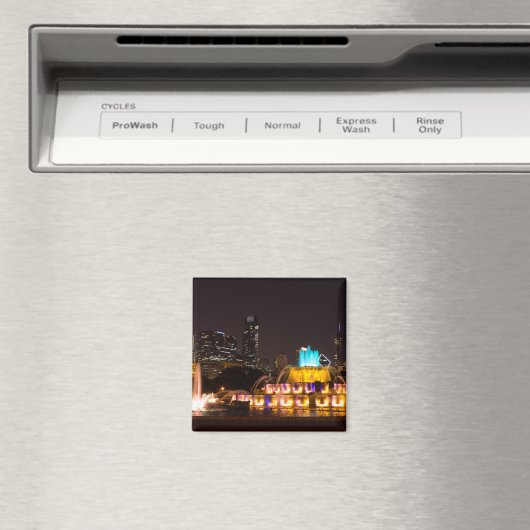 Chicago Grant Park Magneet (Insitu (Vaatwasser))