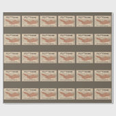  Chicago Great Fire Map, 1871 Cadeaupapier (Vlak)