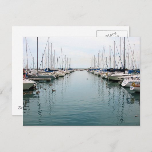 Chicago Harbour - Briefkaart met een zeilboot (Voorkant / Achterkant)