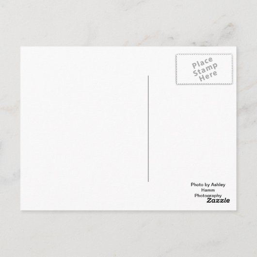 Chicago Harbour in Dusk Briefkaart (Achterkant)