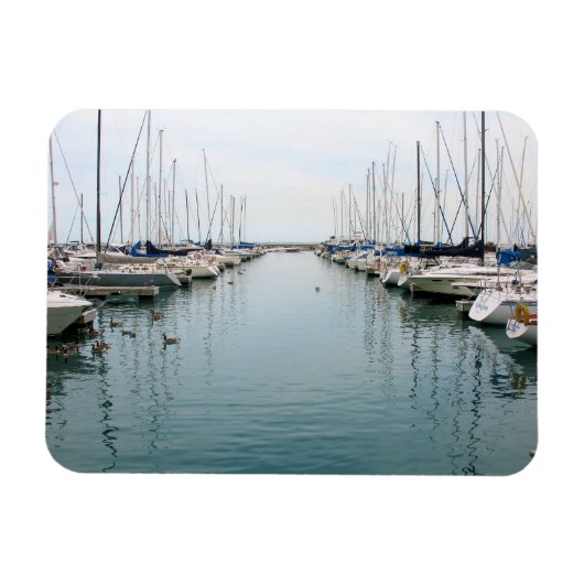 Chicago Harbour - Sailboat - Magnet Magneet (Horizontaal)