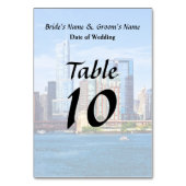 Chicago IL - Uitzicht vanaf Lake Michigan Kaart (Achterkant)