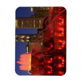 Chicago, Illinois, Buckinghamfontein Magneet (Verticaal)