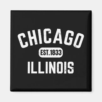 Chicago Illinois Magneet