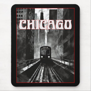 Chicago Illinois Muismat