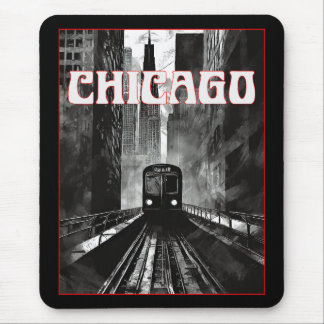 Chicago Illinois Muismat