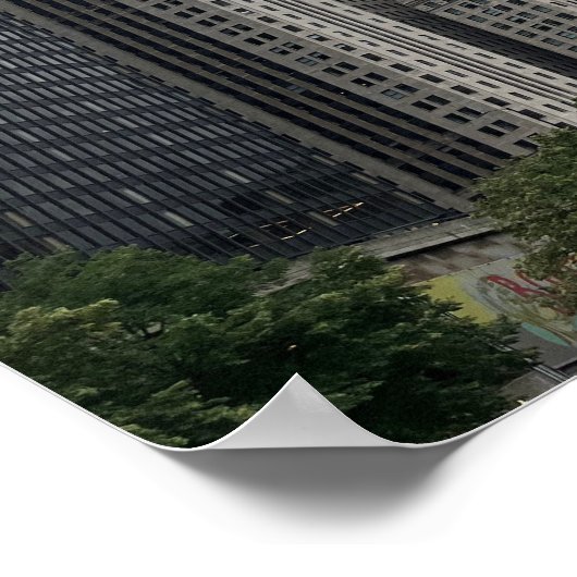 Chicago Illinois Poster (Hoek)