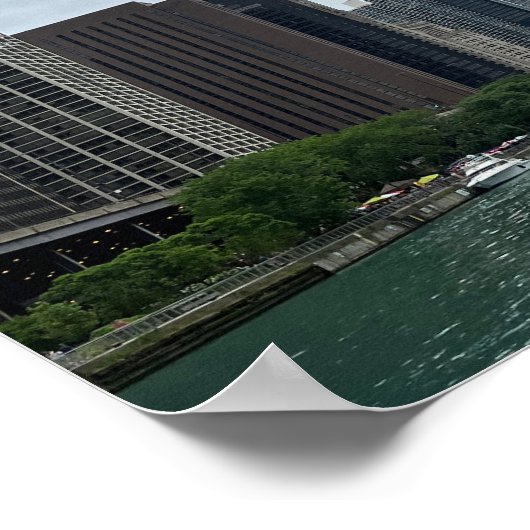 Chicago Illinois Poster (Hoek)