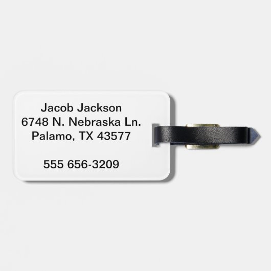 Chicago Illinois Skyline Bagagelabel (Achterkant horizontaal)