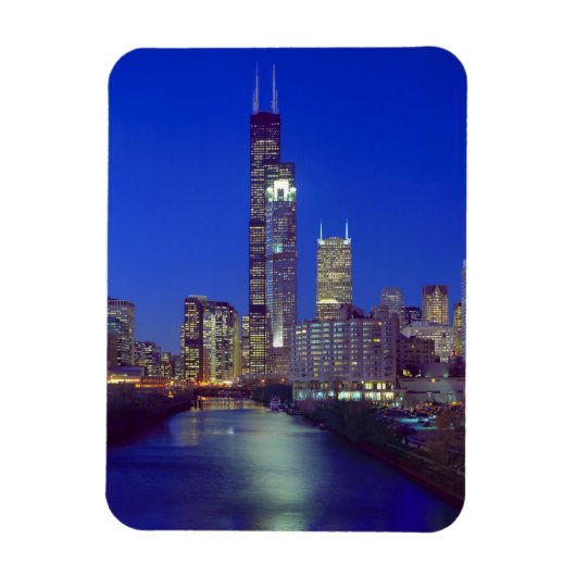 Chicago, Illinois, Skyline 's nachts met Chicago Magneet (Verticaal)