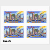  Chicago Illinois Stickers (Vel)