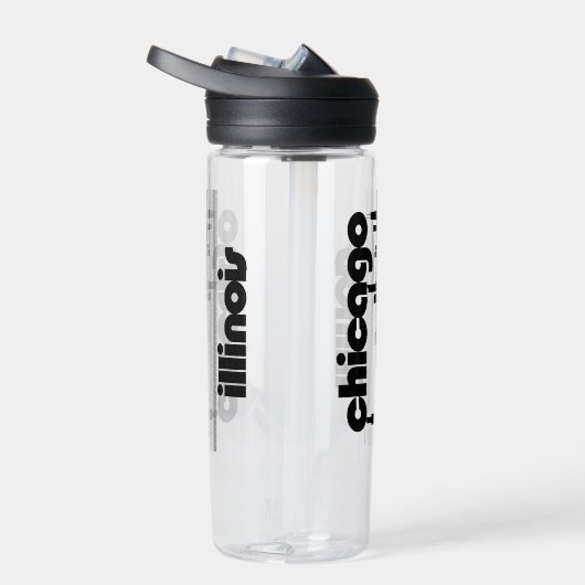 Chicago, Illinois Waterfles (Rechts)