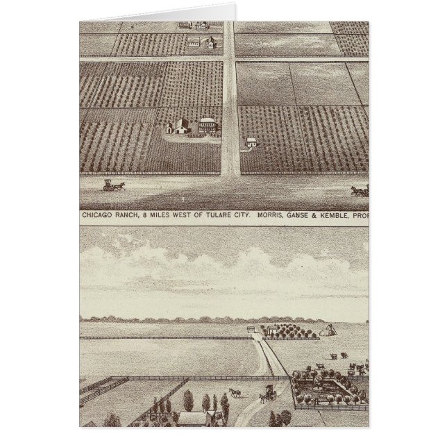 Chicago, Kay ranches (Voorkant)