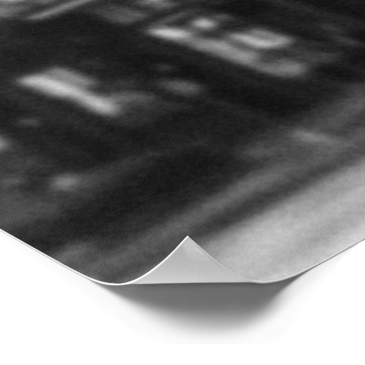 Chicago Llama Poster (Hoek)