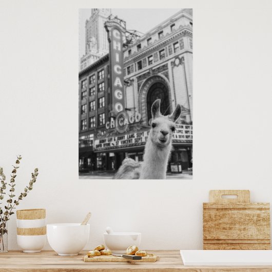Chicago Llama Poster (Keuken)