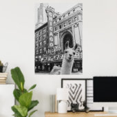 Chicago Llama Poster (Thuiskantoor)
