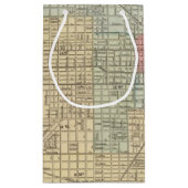 Chicago Map door Mitchell Klein Cadeauzakje (Achterkant)