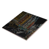 Chicago Michigan Avenue Art Institute Lions Neon Tegeltje (Zijkant)