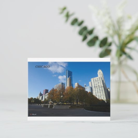 Chicago - Millennium Park Briefkaart (Staand voorkant)