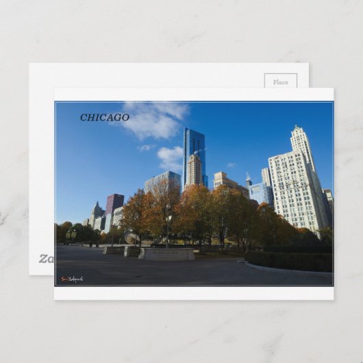 Chicago - Millennium Park Briefkaart (Voorkant / Achterkant)