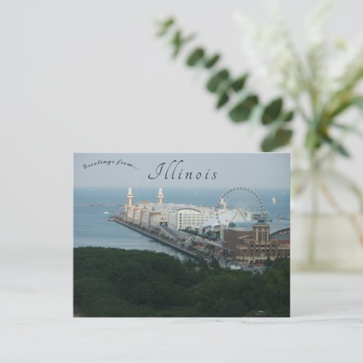 Chicago Navy Pier Illinois Briefkaart (Staand voorkant)