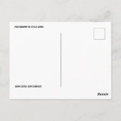 CHICAGO OUTDEURWINTER DINING BRIEFKAARTEN (Achterkant)