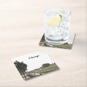 Chicago Park in Sepia Tones Kartonnen Onderzetters (Insitu)