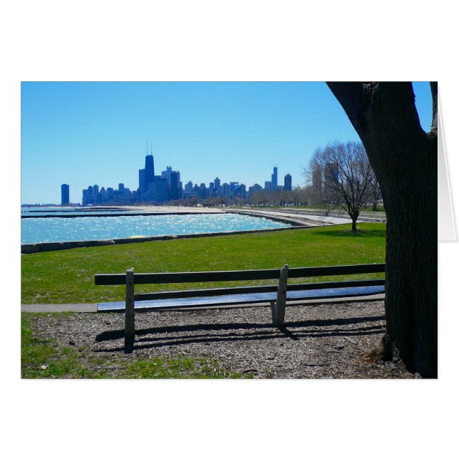chicago skyline (Voorkant Horizontaal)