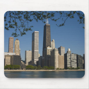 Chicago skyline en Lake Michigan, Lake Shore Muismat
