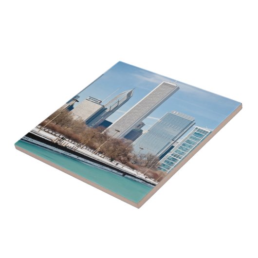 Chicago skyline over het bevroren meer van Michiga Tegeltje (Zijkant)