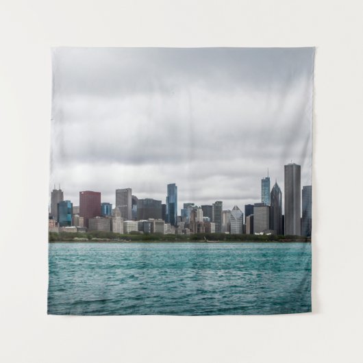 Chicago skylinechicago, skyline, antenne, architec wandkleed (Voorkant)