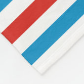 chicago stad USA amerika vlag strepen patroon blau Fleece Deken (Hoek)