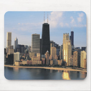 Chicago van Lake Shore Drive Muismat
