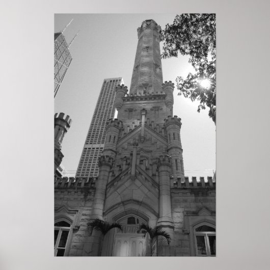 Chicago Water Tower Poster (Voorkant)