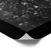 Chicago World Series Photo 1906 Poster (Hoek)