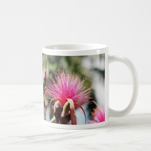 Chichen Itza, Yucatan, Mexico Koffiemok (Rechts)