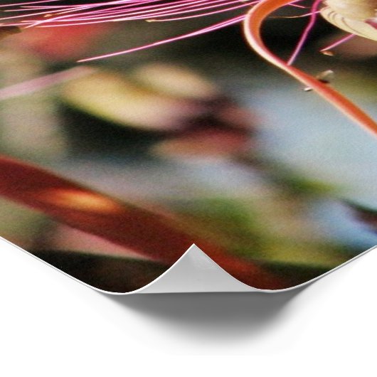 Chichen Itza, Yucatan, Mexico Poster (Hoek)