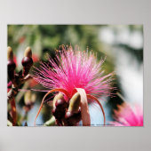 Chichen Itza, Yucatan, Mexico Poster (Voorkant)