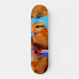 Chick-A-Dee-Light skateboard -