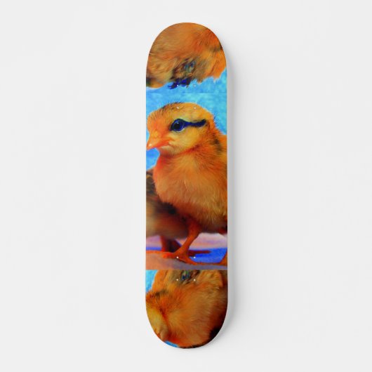 Chick-A-Dee-Light skateboard -  (Voorkant)