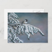 Chick-a-dees in het Briefkaart van de sneeuwvogelk (Voorkant / Achterkant)