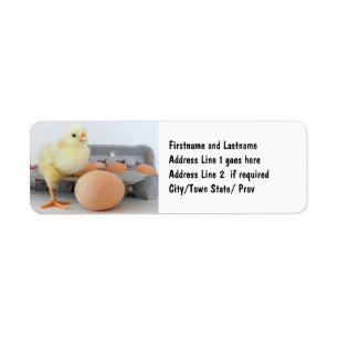 Chick and Egg Carton met bruine eieren Etiket