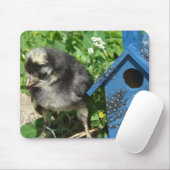 Chick and Mixed Media Birdhouse Muismat (Met muis)