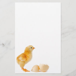Chick Briefpapier