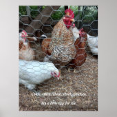 Chick chick kip plezier poster (Voorkant)