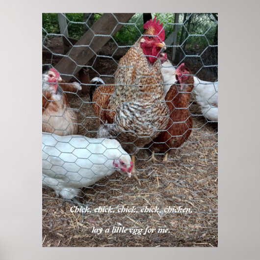 Chick chick kip plezier poster (Voorkant)