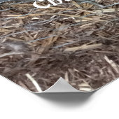 Chick chick kip plezier poster (Hoek)