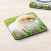 Chick Drankjes Onderzetter (Linkerzijde)