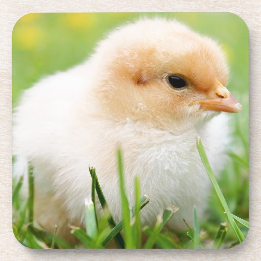 Chick Drankjes Onderzetter (Voorkant)