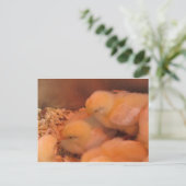 Chick Duo Briefkaart (Staand voorkant)